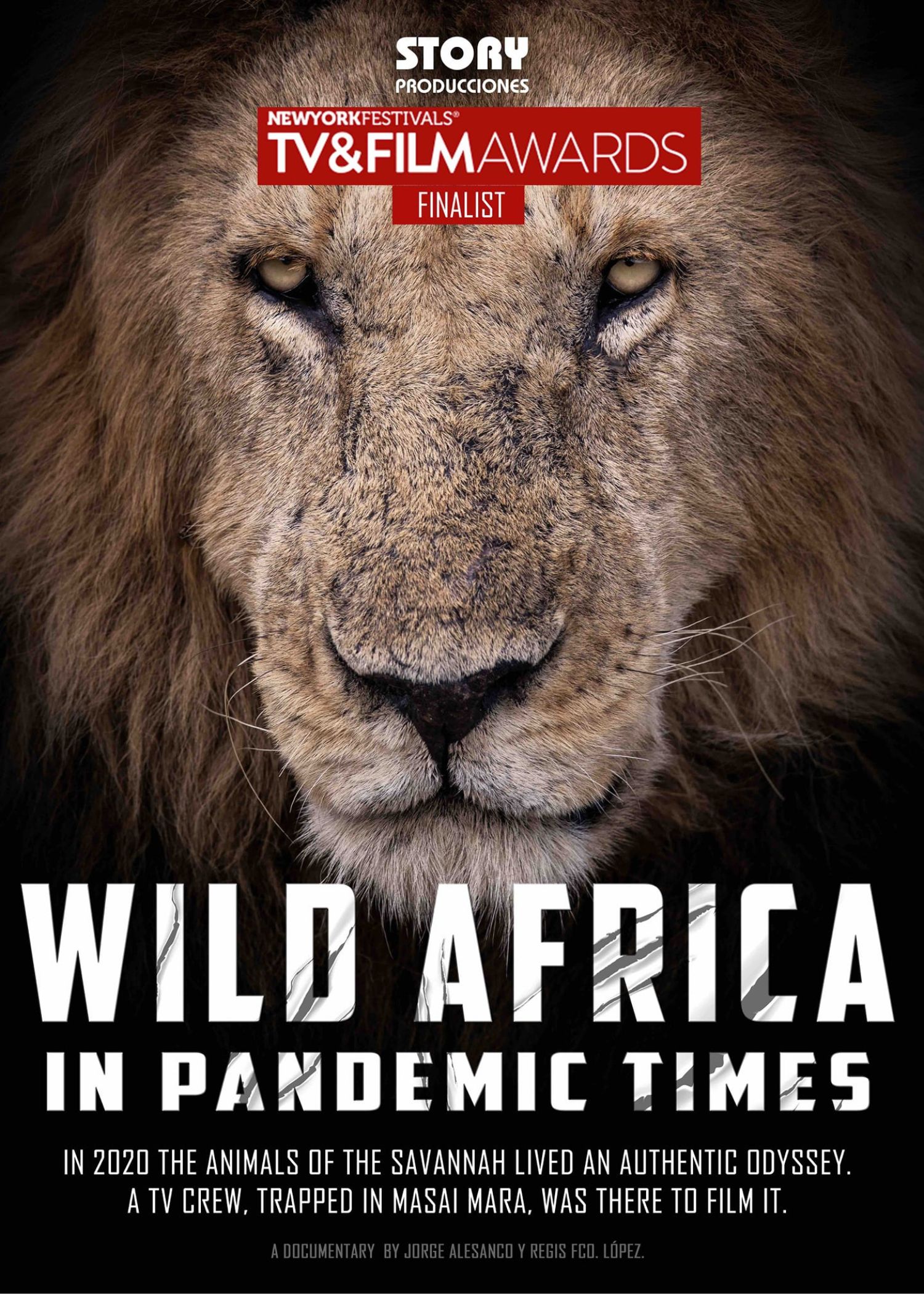 Diseño sin título (11)