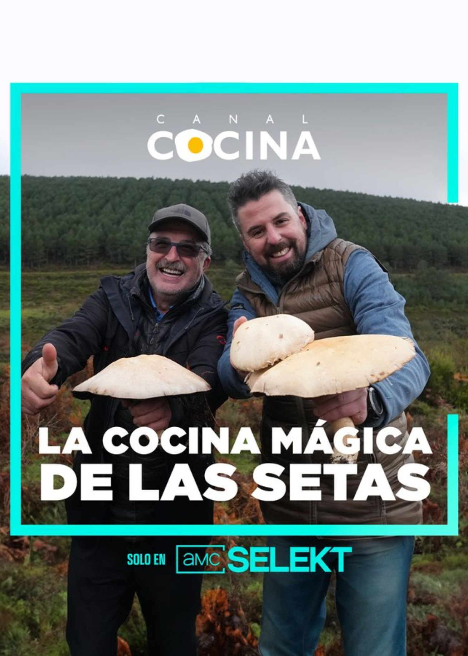 Diseño sin título (6)